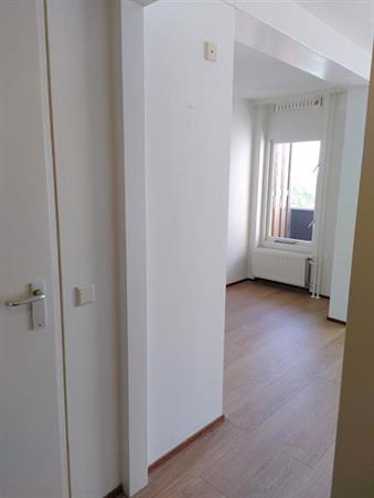 Wohnung bei Bronbeeklaan In Arnhem