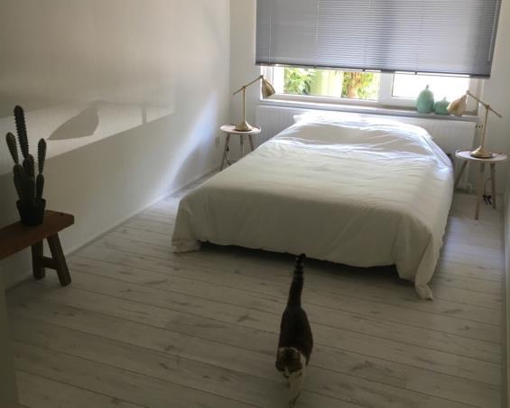 Kamer te huur in maastricht voor u ac kamernet