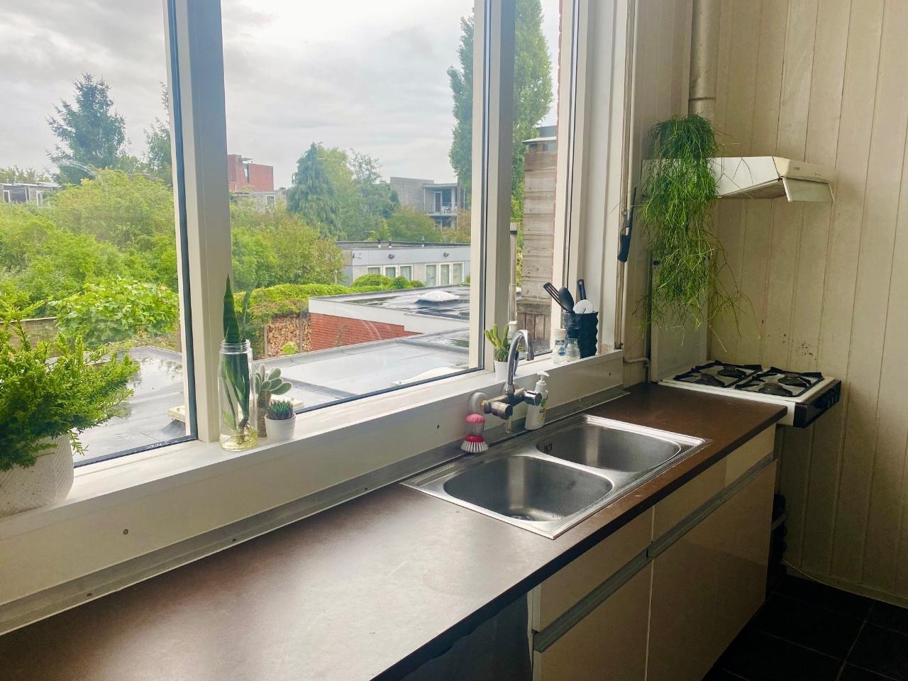 Tuinbouwstraat