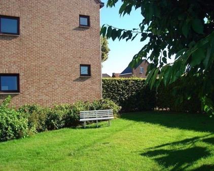 Room for rent 420 euro Via Regia, Maastricht