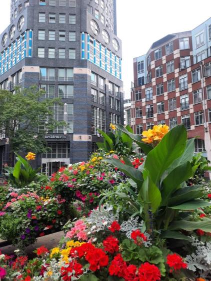Muzenplein