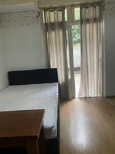 Room for rent 700 euro Evertsenstraat, Nijmegen
