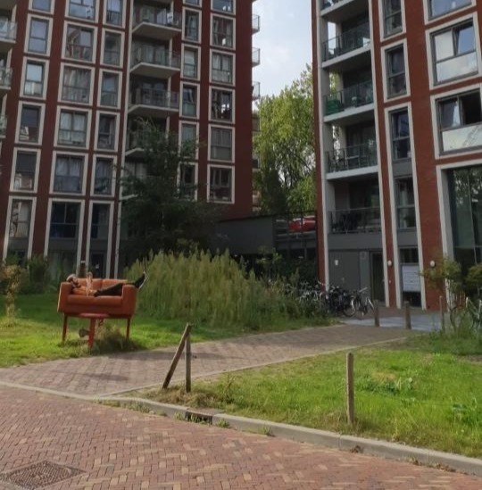 Kamer te huur op het Dankmeijerpad in Leiden