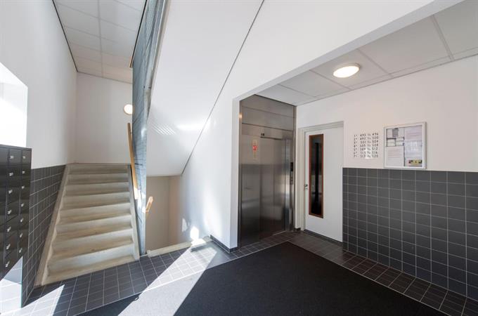 Zimmer bei Professor de Moorplein In Tilburg