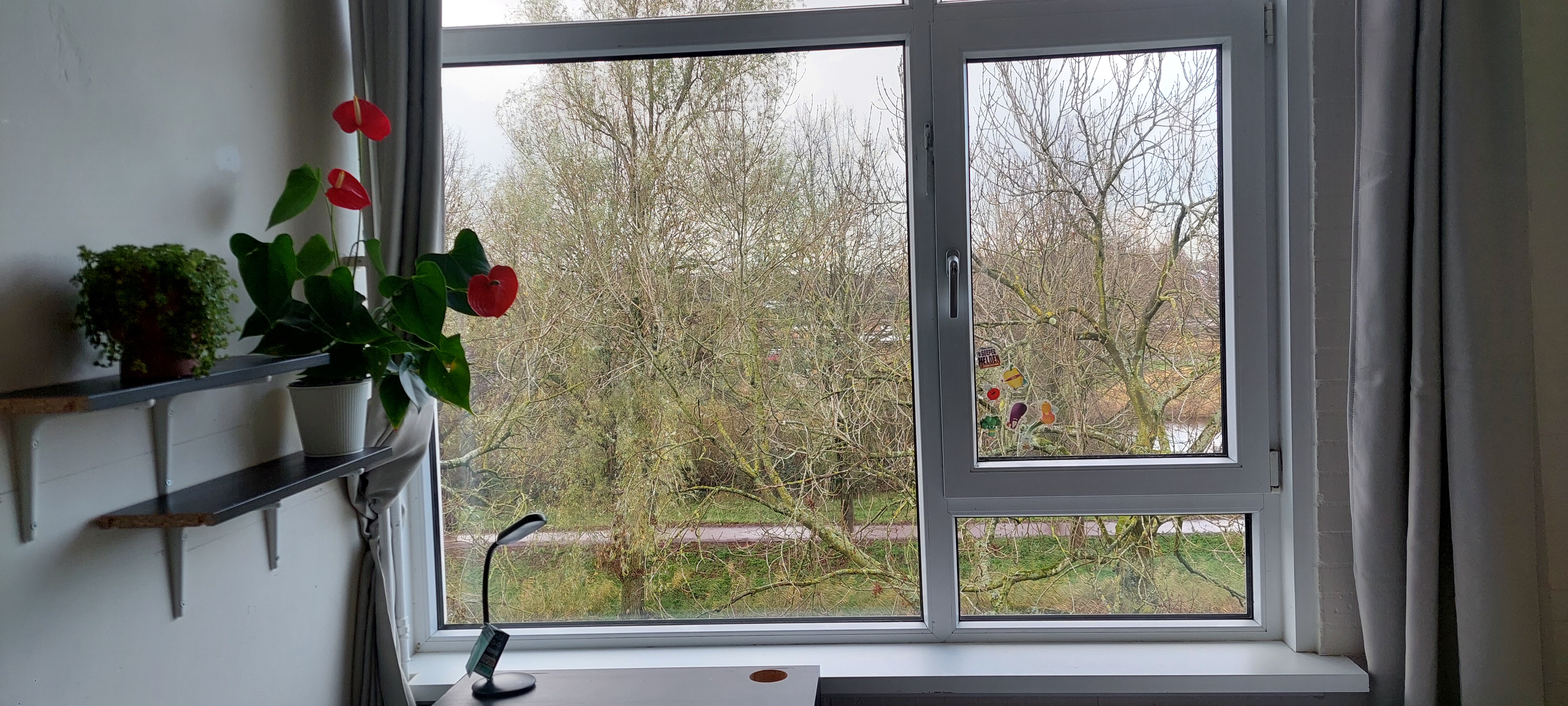 Kamer te huur in Amsterdam – Voordek – foto 3