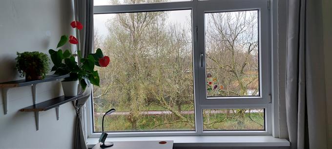 Zimmer bei Voordek In Amsterdam