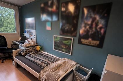 Room for rent 380 euro Hanenberglanden, Enschede