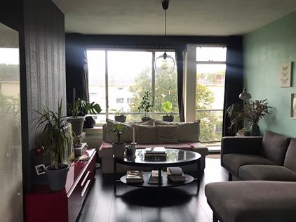 Apartment for rent 1900 euro Winkler Prinshof, Amsterdam