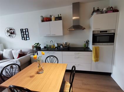 Studio for rent 850 euro Plantsoen, Wageningen