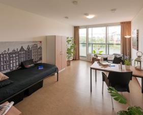 Studio for rent 500 euro Carolina MacGillavrylaan, Amsterdam