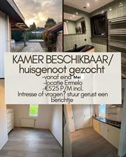 Room for rent 525 euro Eendenparkweg, Ermelo