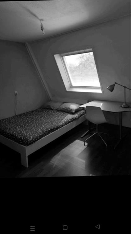 Room for rent 600 euro Brongouw, Almere