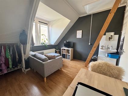 Room for rent 625 euro Berg en Dalseweg, Nijmegen