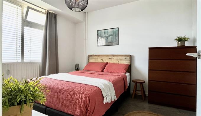 Wohnung bei Suze Groeneweglaan In Rotterdam