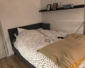 Kamer te huur 415 euro Graslaan, Arnhem