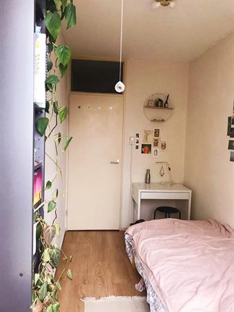 Zimmer bei Opaalstraat In Leiden