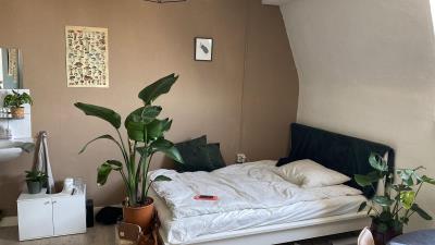Room for rent 585 euro Scharnerweg, Maastricht