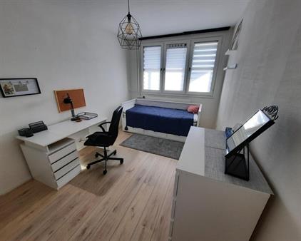 Room for rent 750 euro Pisuissestraat, Den Haag