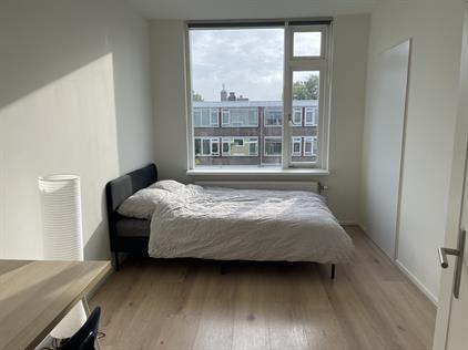 Room for rent 650 euro Plotinusstraat, Rotterdam
