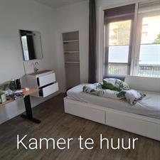 Kamer te huur 440 euro Molukkenstraat, Nijmegen