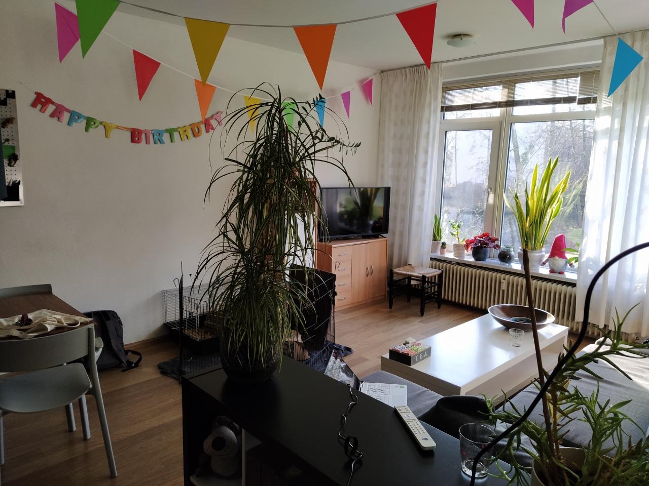 Kamer te huur in de Groen van Prinstererstraat in Wageningen