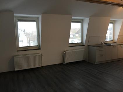 Apartment for rent 1290 euro Oosteinde, Delft