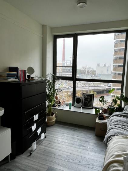 Room for rent 350 euro Torenallee, Eindhoven