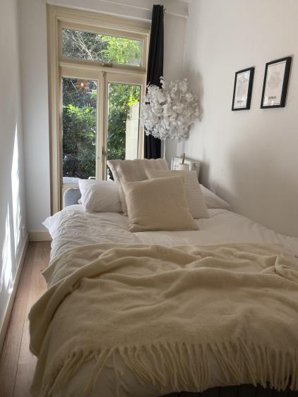 Room for rent 975 euro Rombout Hogerbeetsstraat, Amsterdam