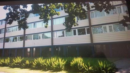 Kamer te huur 300 euro Varenkamp, Emmen