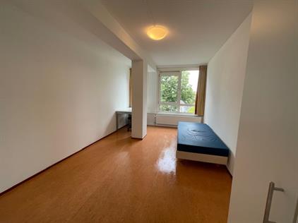 Room for rent 489 euro Stadsbrink, Wageningen