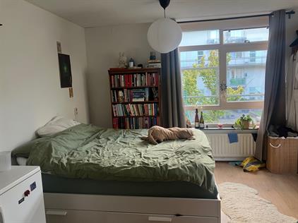 Room for rent 360 euro Lage Nieuwstraat, Den Haag