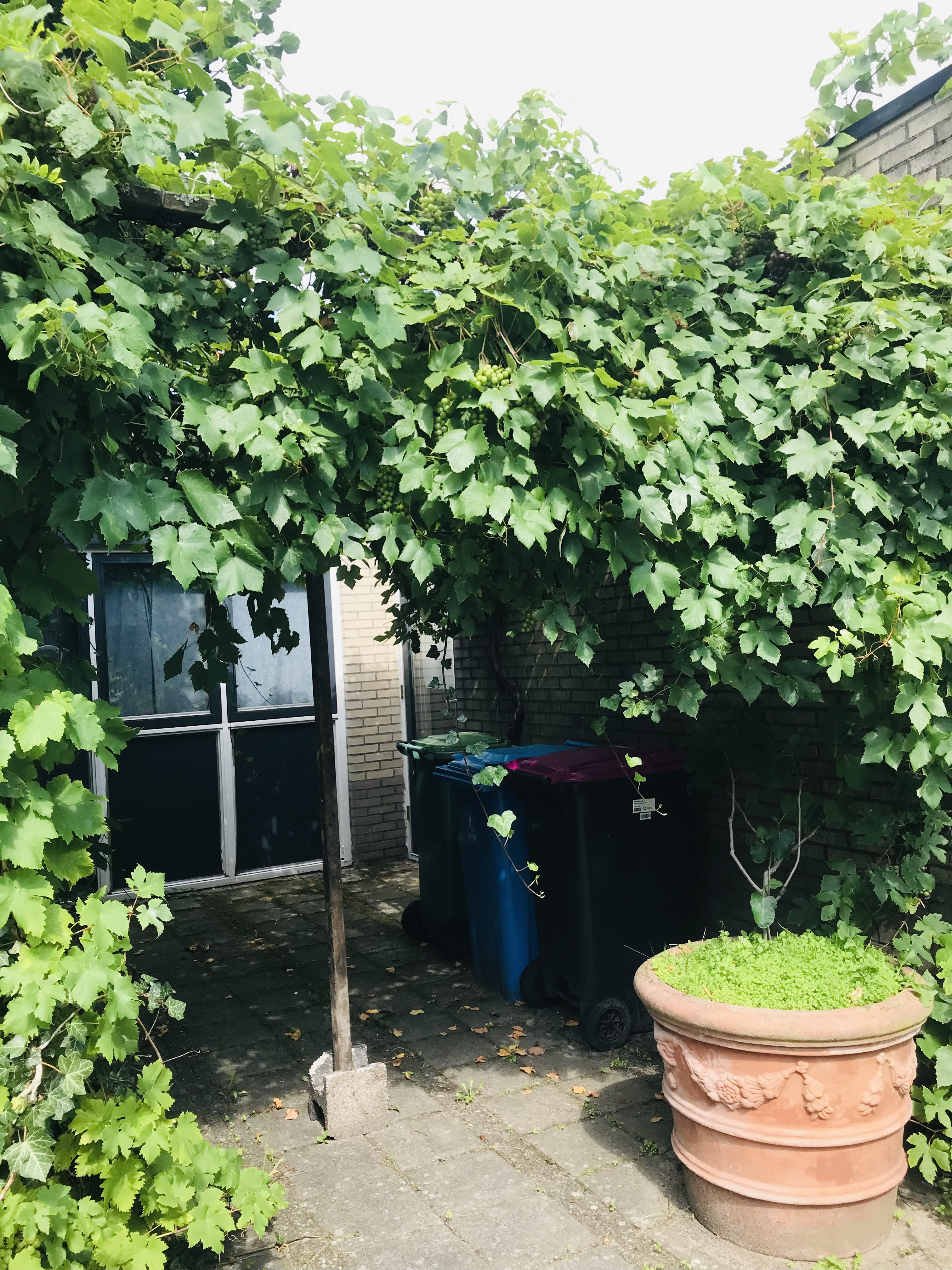 Appartement aan Maartensweer, Leidschendam 8