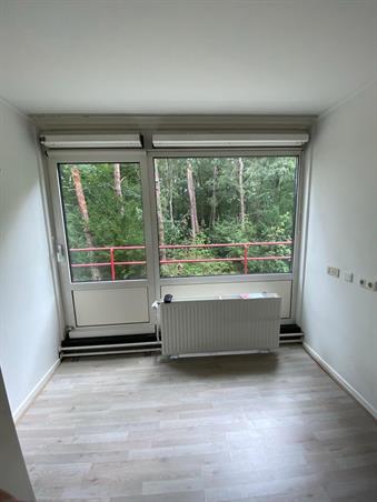 Zimmer bei Witbreuksweg In Enschede