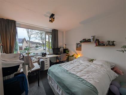 Room for rent 500 euro Pisanostraat, Eindhoven