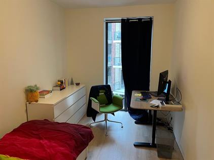 Room for rent 1000 euro Ireneboulevard, Delft