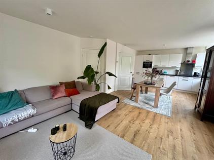 Room for rent 1000 euro Pieter van der Doesstraat, Amsterdam