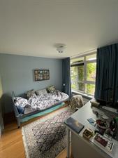 Room for rent 700 euro Meidoornlaan, Zoetermeer