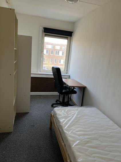 Room for rent 495 euro Botterstraat, Amsterdam