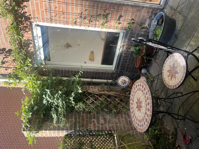 Studio aan Zwaansteeg, Utrecht 6