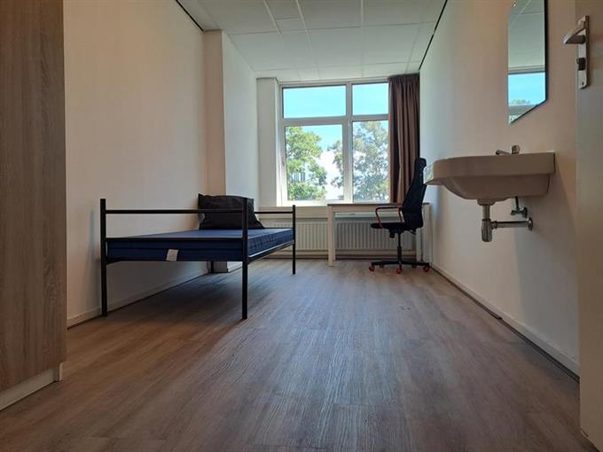 Kamer in Amsterdam, Tourniairestraat op Kamernet.nl: Gemeubileerde studentenkamers te huur in Amsterdam