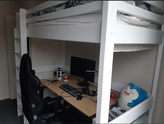 Zimmer bei Remuslaan In Eindhoven