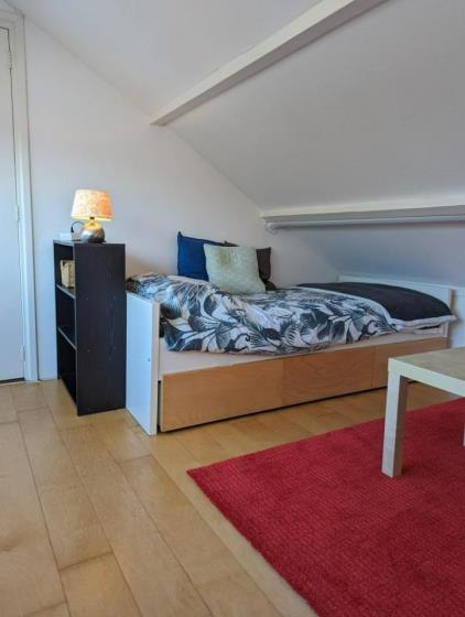 Room for rent 480 euro Sweelincklaan, Groningen