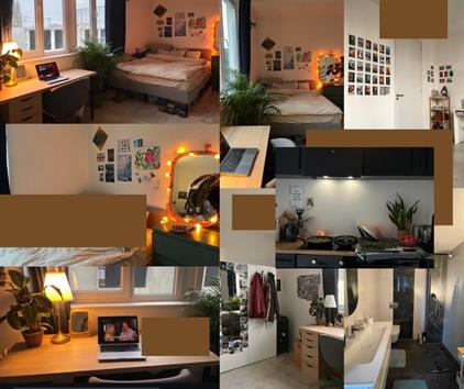 Room for rent 800 euro Johan Ringerskade, Den Haag