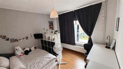 Room for rent 365 euro Groningerstraat, Leeuwarden