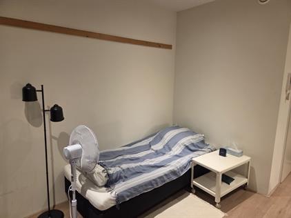 Studio for rent 1150 euro Beukenlaan, Eindhoven
