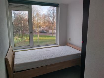 Room for rent 600 euro Herenweg, Noordwijk