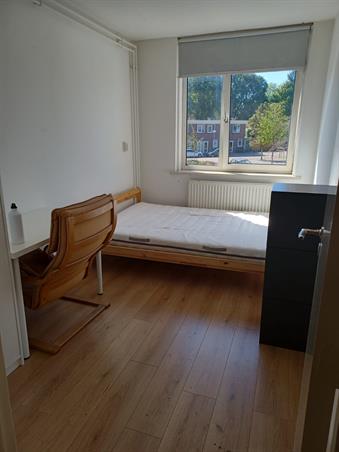 Zimmer bei Ganzenveldstraat In Amsterdam