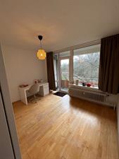 Room for rent 500 euro Oude Molenweg, Nijmegen