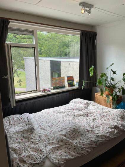 Room for rent 378 euro Calslaan, Enschede