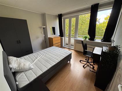 Room for rent 900 euro Dordtselaan, Rotterdam